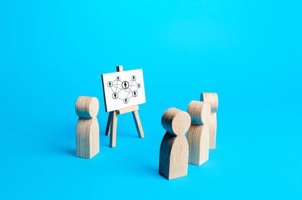 How to Safely Manage a Pet's Diet When Transitioning from Commercial to Homemade Food?