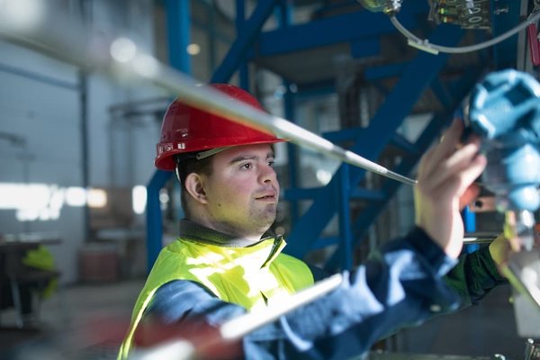 How to Integrate Native Wildlife Habitats into UK School Grounds?