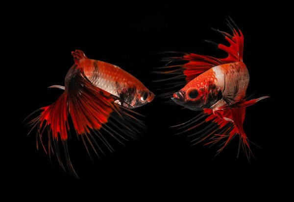 How Are Digital Twins Enhancing Predictive Maintenance in Aerospace?